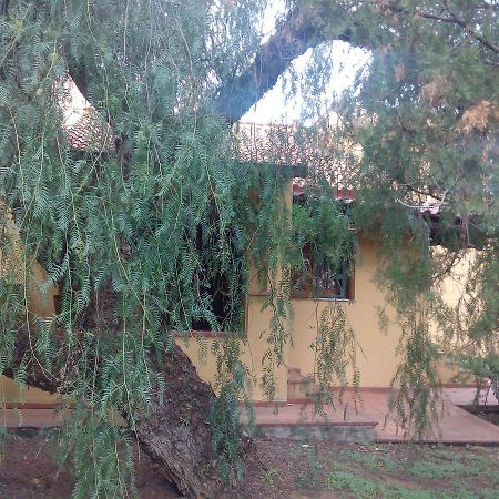 B&B Eleonora Palermo Ngoại thất bức ảnh